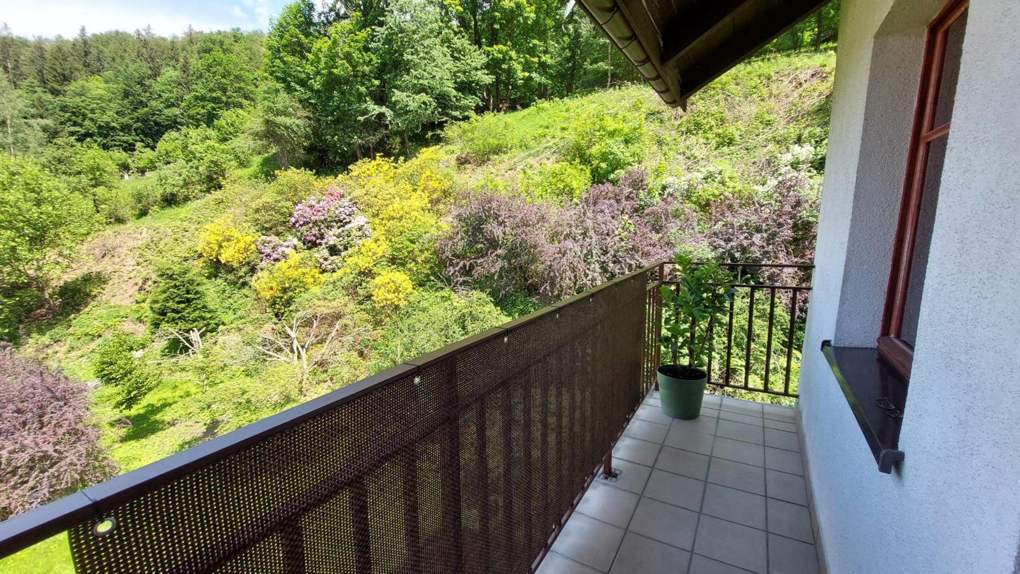 Apartament Miedzygorski Międzygórze Zewnętrze zdjęcie